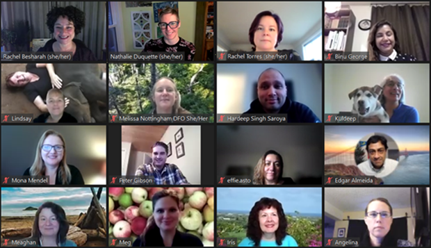 Facilitators in Zoom videoconference