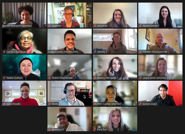 Facilitators in Zoom videoconference