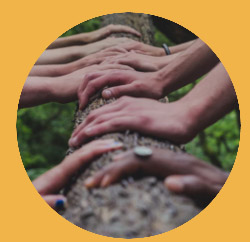 Different colours and sizes of hands grasp a tree trunk side by side