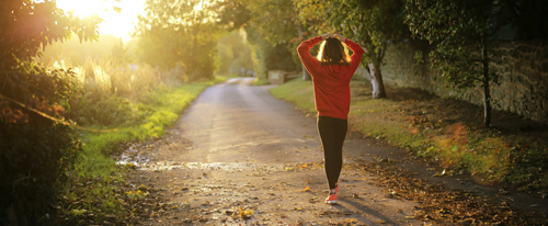 A person wearing an orange sweatshirt walks away from the viewer and toward a sunset. 